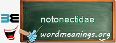 WordMeaning blackboard for notonectidae